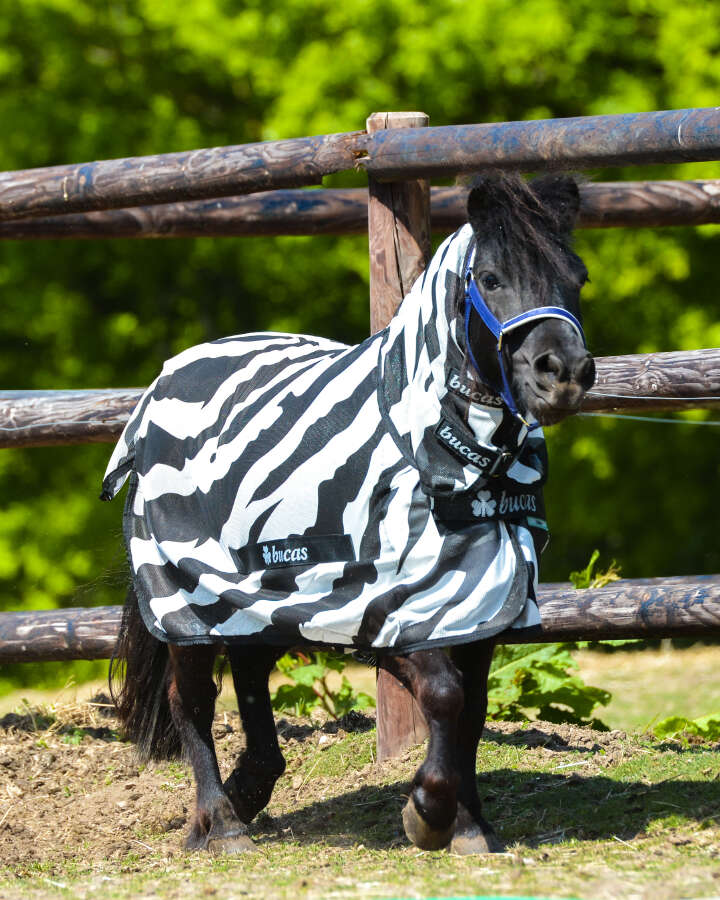 bucas Fliegendecke Zebra Full-Neck